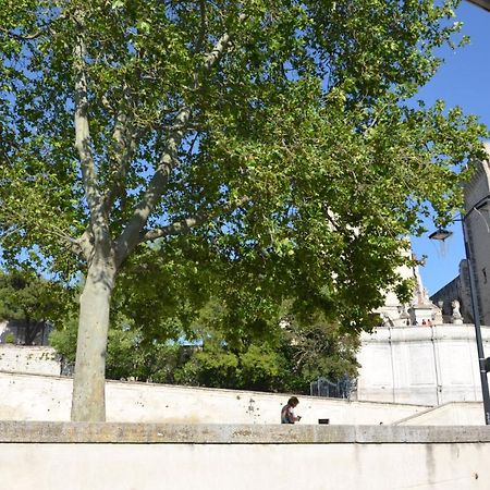 Apartament Face Au Palais Des Papes Awinion Zewnętrze zdjęcie